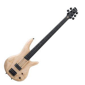 GWB1005 NTF BAJO ELECTRICO 5 CUERDAS GARY WILLIS IBANEZ