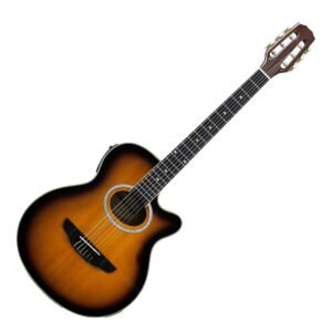 FRA95NCET SB GUITARRA E/A NYLON FREEMAN